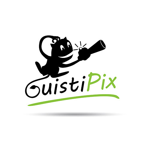 Ouistipix