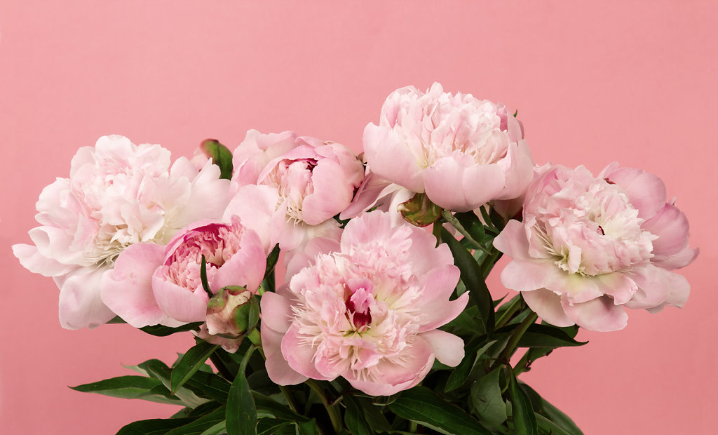 bouquet-de-pivoines-01.jpg